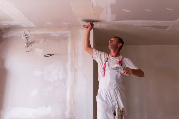 Best Drywall Sanding and Smoothing  in Lordstown, OH